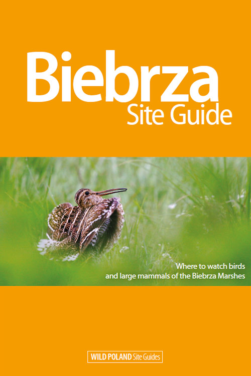 Biebrza Site Guide Paperback