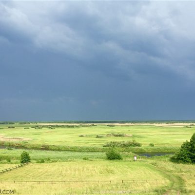 View Over The Marshes In The Biebrza Marshes