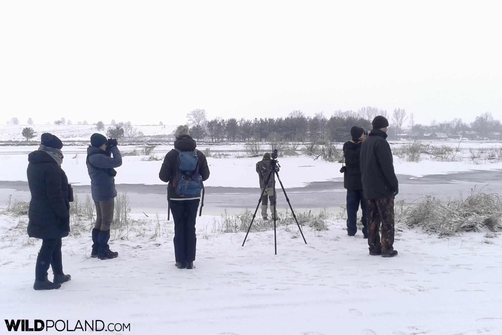 Our group looking out for wildlife at Biebrza Marshes, photo by Piotr Dębowski