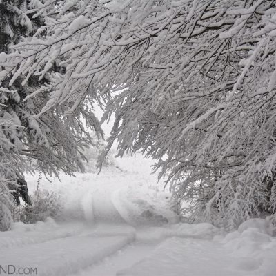 Snowy Ride Through The Carpathians By Gotz Rahne