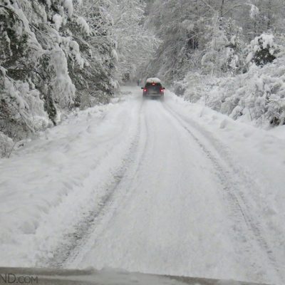 A Drive Through The Snowy Winter Carpathian Forest. Photo By Beatrice Van Nes.