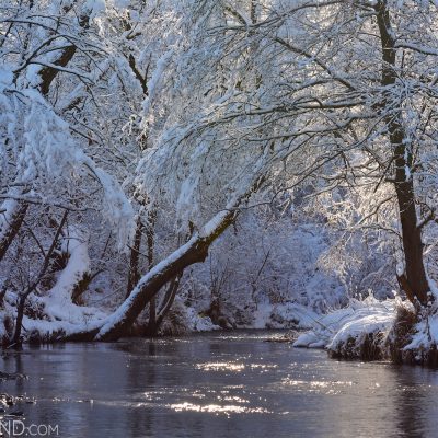 Mountain Stream In Snow By Gotz Rahne