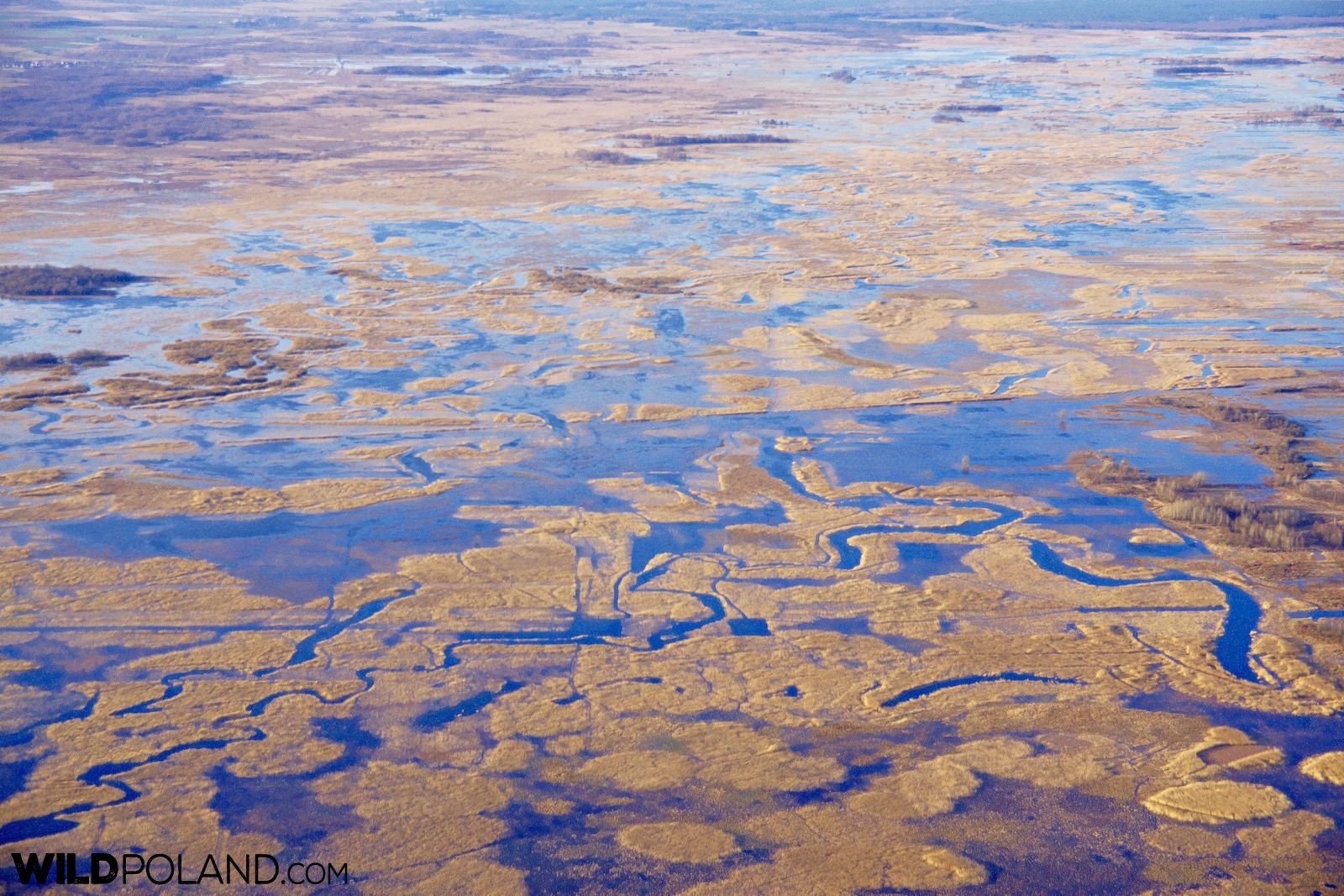 Biebrza Marshes seen from above during hot-air balloon flight, photo by Andrzej Petryna