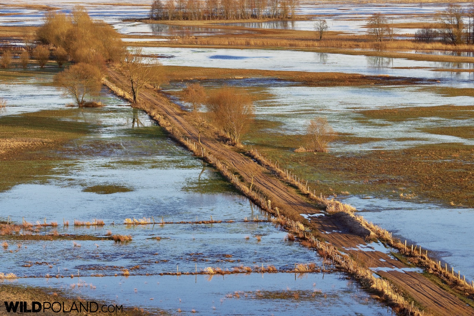 Spring and enxtensive floodings at the Biebrza Marshes, photo by Andrzej Petryna