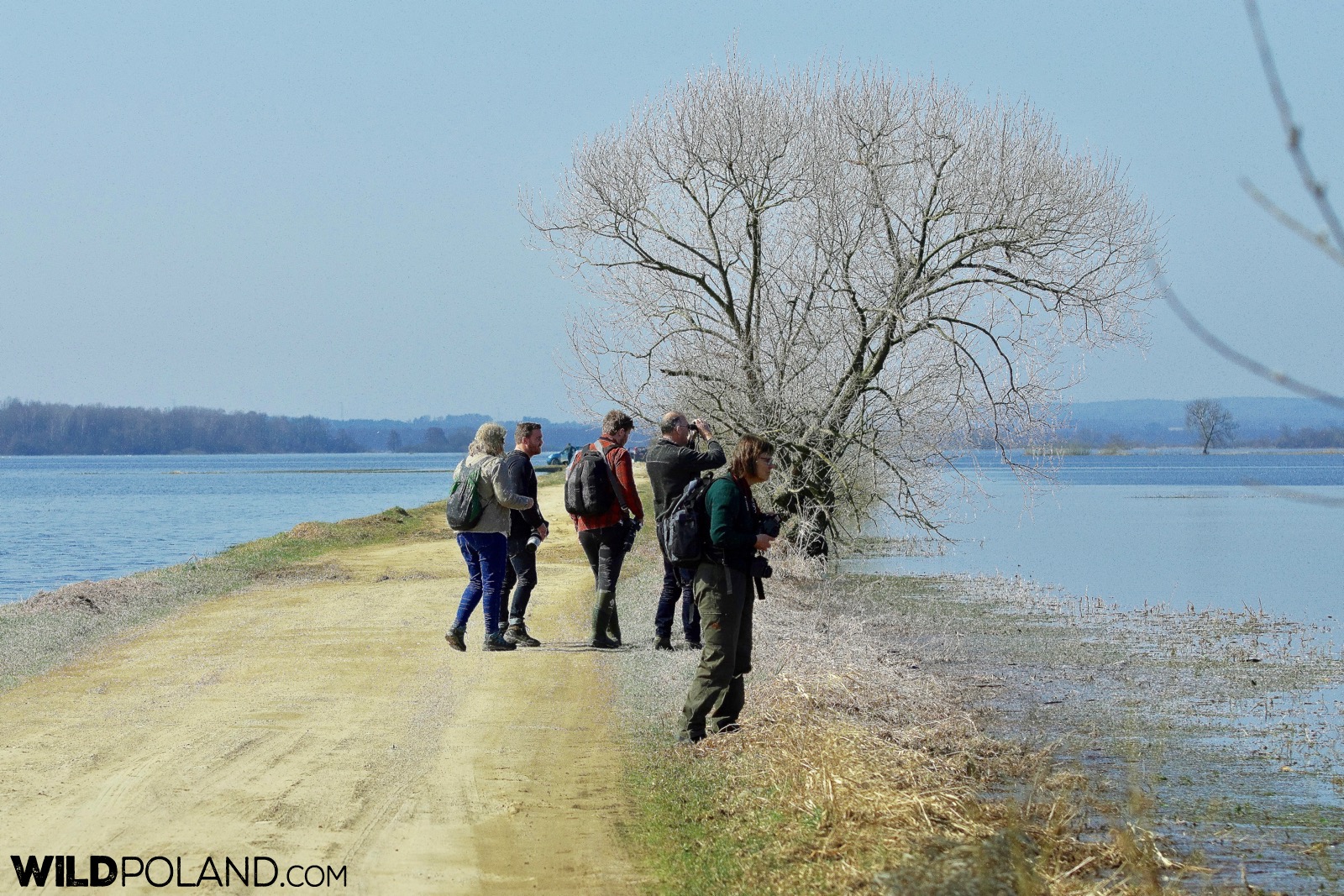 Walking paths and trails of the Biebrza Marshes, photo by Andrzej Petryna