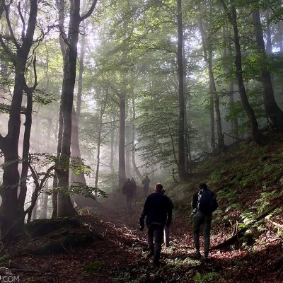 Hiking The Primeval Forests Of The Bieszczady Mts, Eastern Carpathians