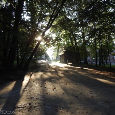 Sunny Morning At The Białowieża Palace Park, Photo By Marta Świtała