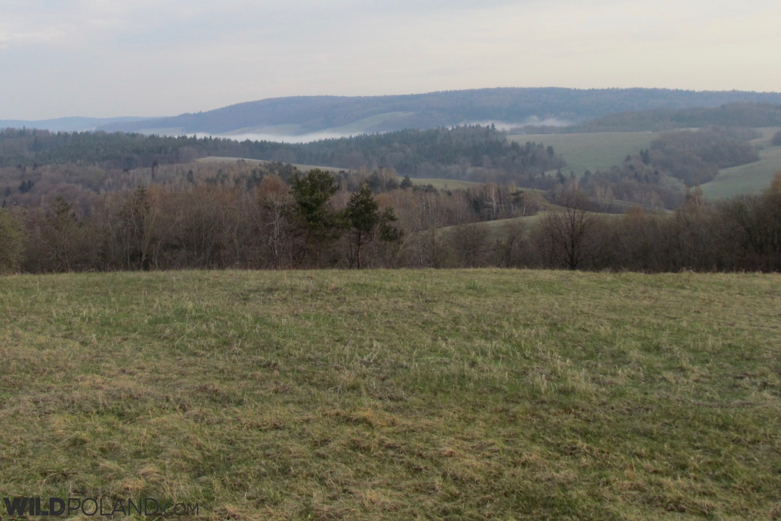 the landscapes of the Eastern Carpathians