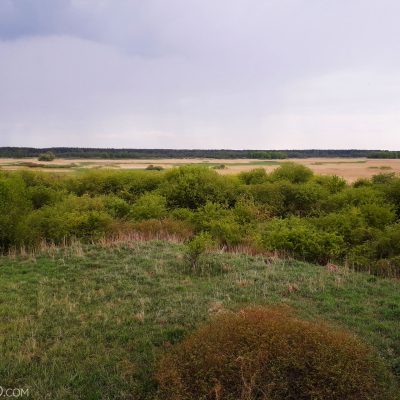 View Over Biebrza Marshes In The Evening