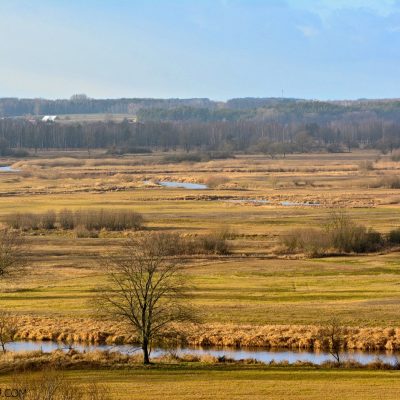 Biebrza Marshes Vast Landscape