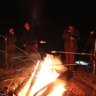 Traditional Campfire At The End Of The Winter Wildlife Festival 2020 In The Białowieża Forest