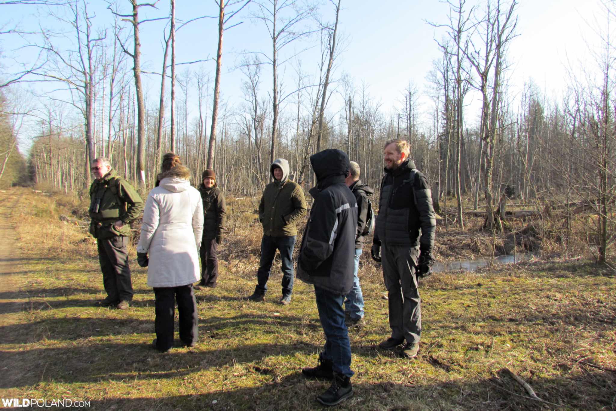 Wild Poland group in the Białowieża Forest