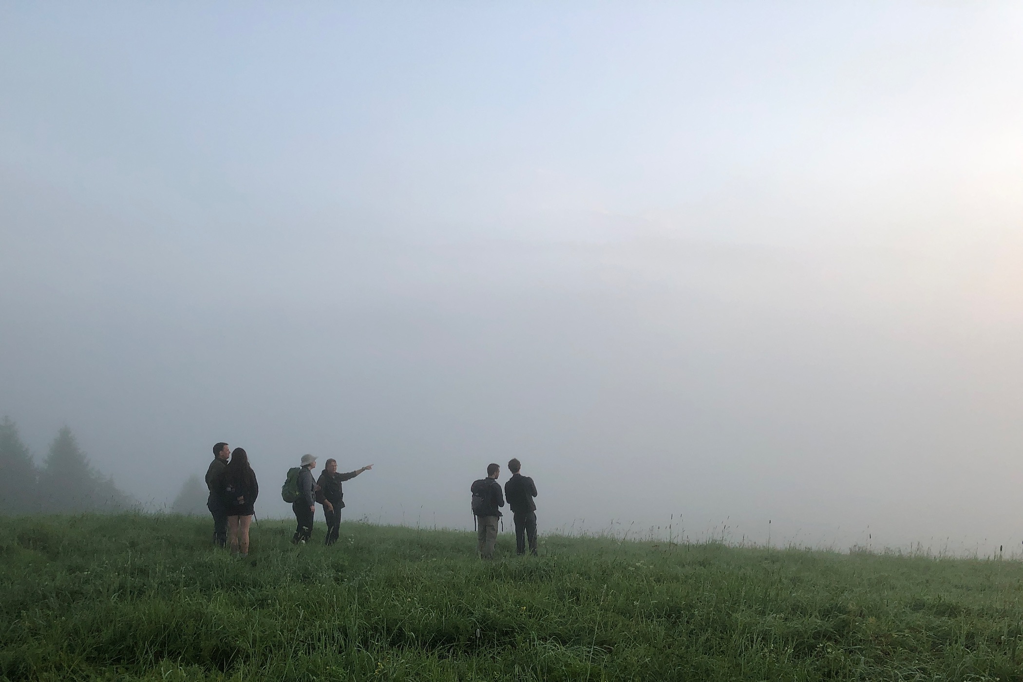 Misty evening in the Bieszczady Mts, Eastern Carpathians