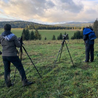 Looking For Wolves In The Eastern Carpathians
