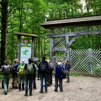 Entrance To The Strict Reserve Of Białowieża National Park, Wild Poland