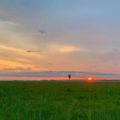 Sunset In The Biebrza Marshes, Wild Poland