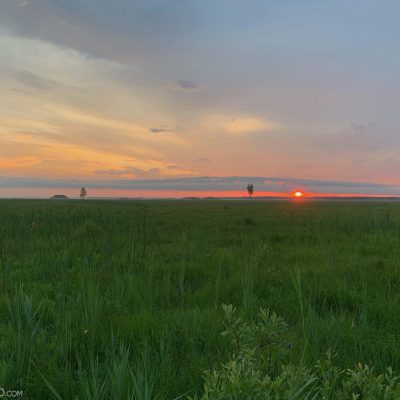 Sunset In The Biebrza Marshes, Wild Poland