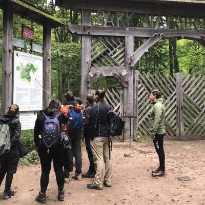 At The Gate Of The UNESCO Core Area, Białowieża National Park