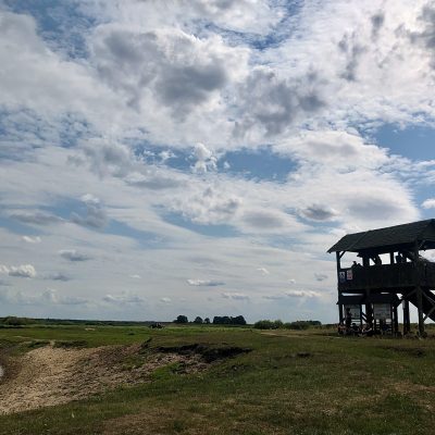 One Of The Watchtowers In The Biebrza National Park