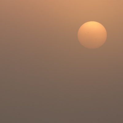 Sunrise In The Biebrza Marshes