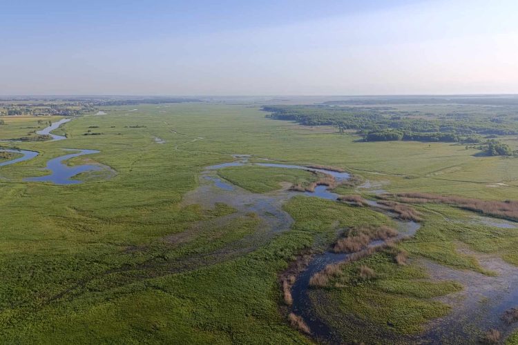 View Over Biebrza Marshes From Balloon