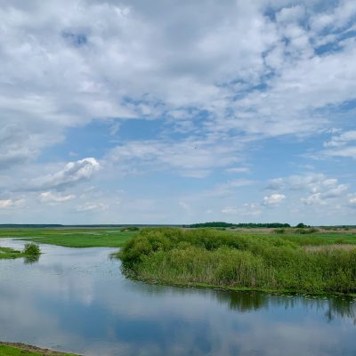 Biały Grąd In The Biebrza Wild Poland Tomasz Jezierczuk