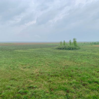 Ławki Fen In The Biebrza Wild Poland Tomasz Jezierczuk