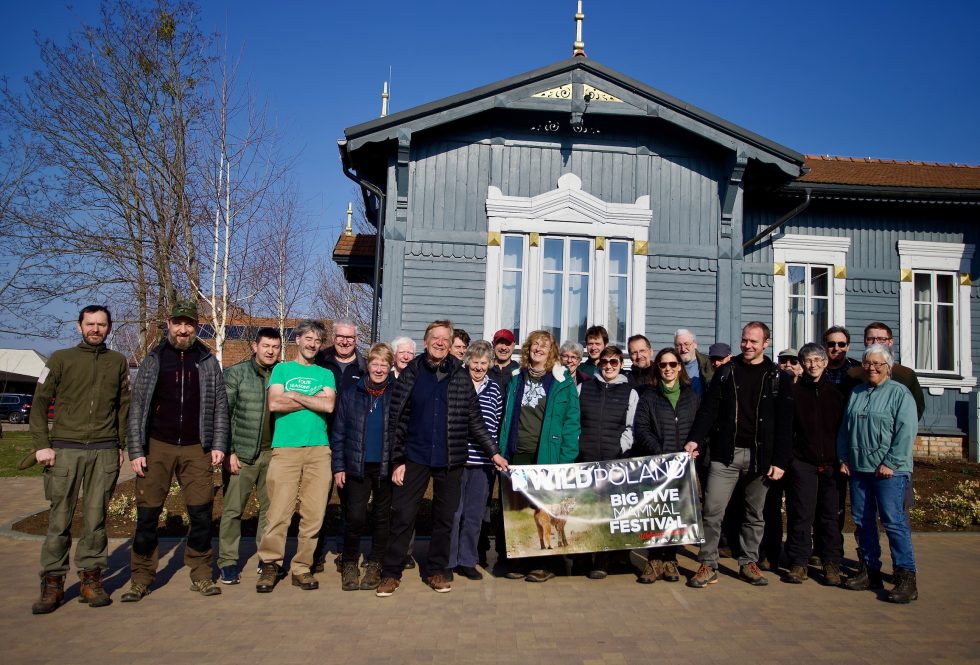 Big Five Mammals Wild Poland Festival Group In 2025